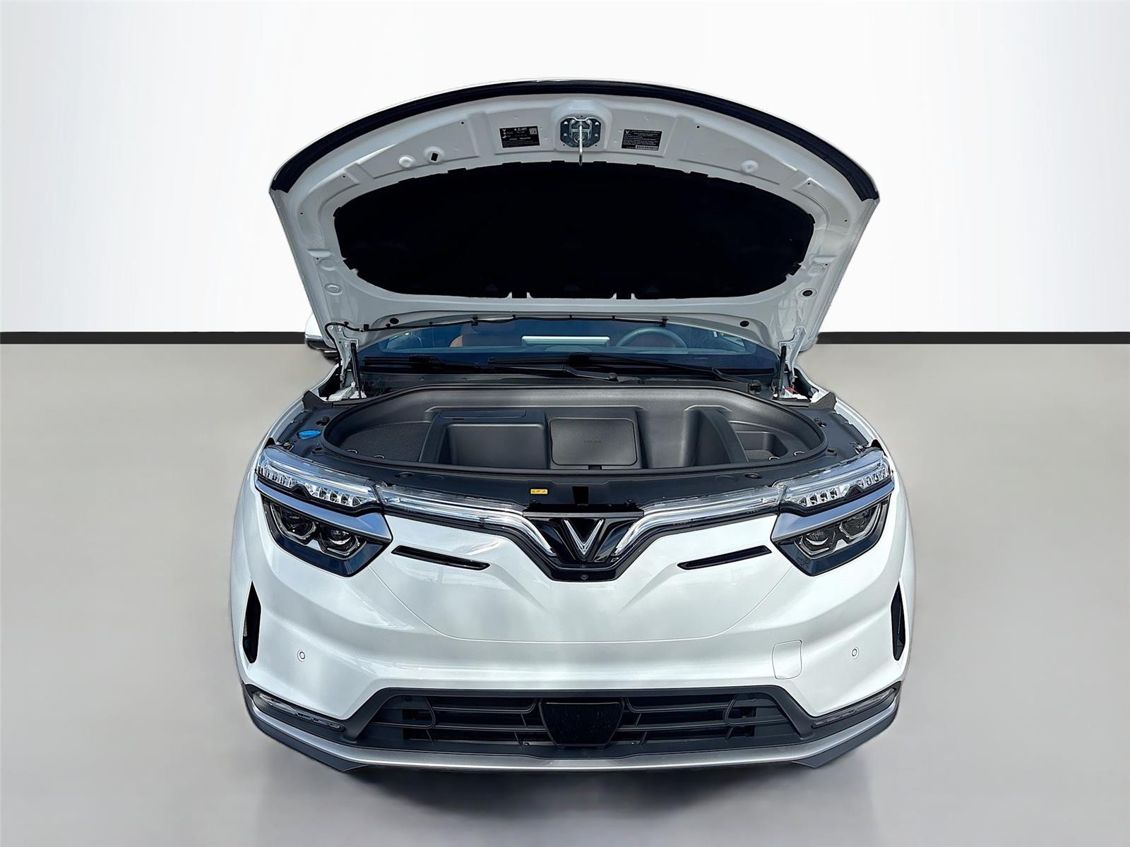 2025 VinFast VF 8 Plus