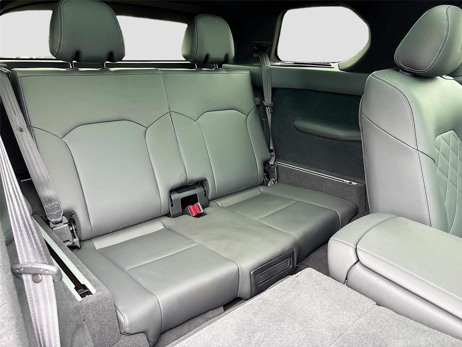 2024 VinFast VF 9 Plus