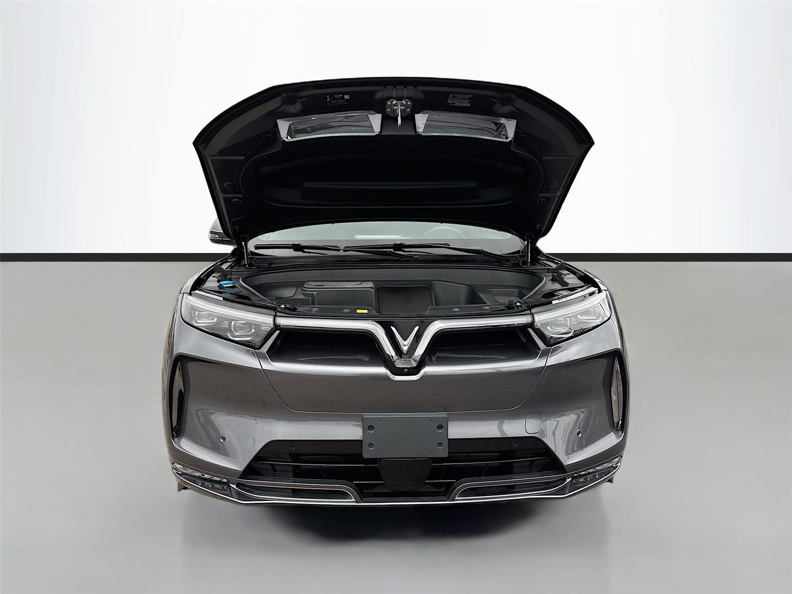 2024 VinFast VF 9 Plus