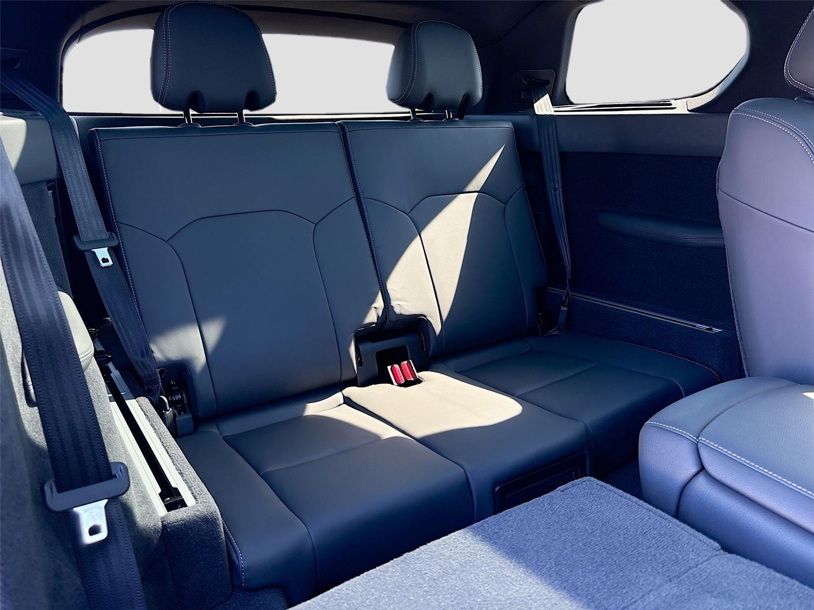 2024 VinFast VF 9 Plus