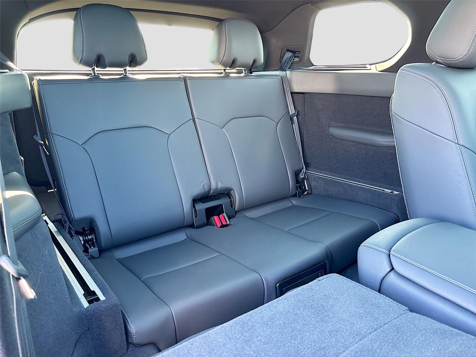 2024 VinFast VF 9 Plus