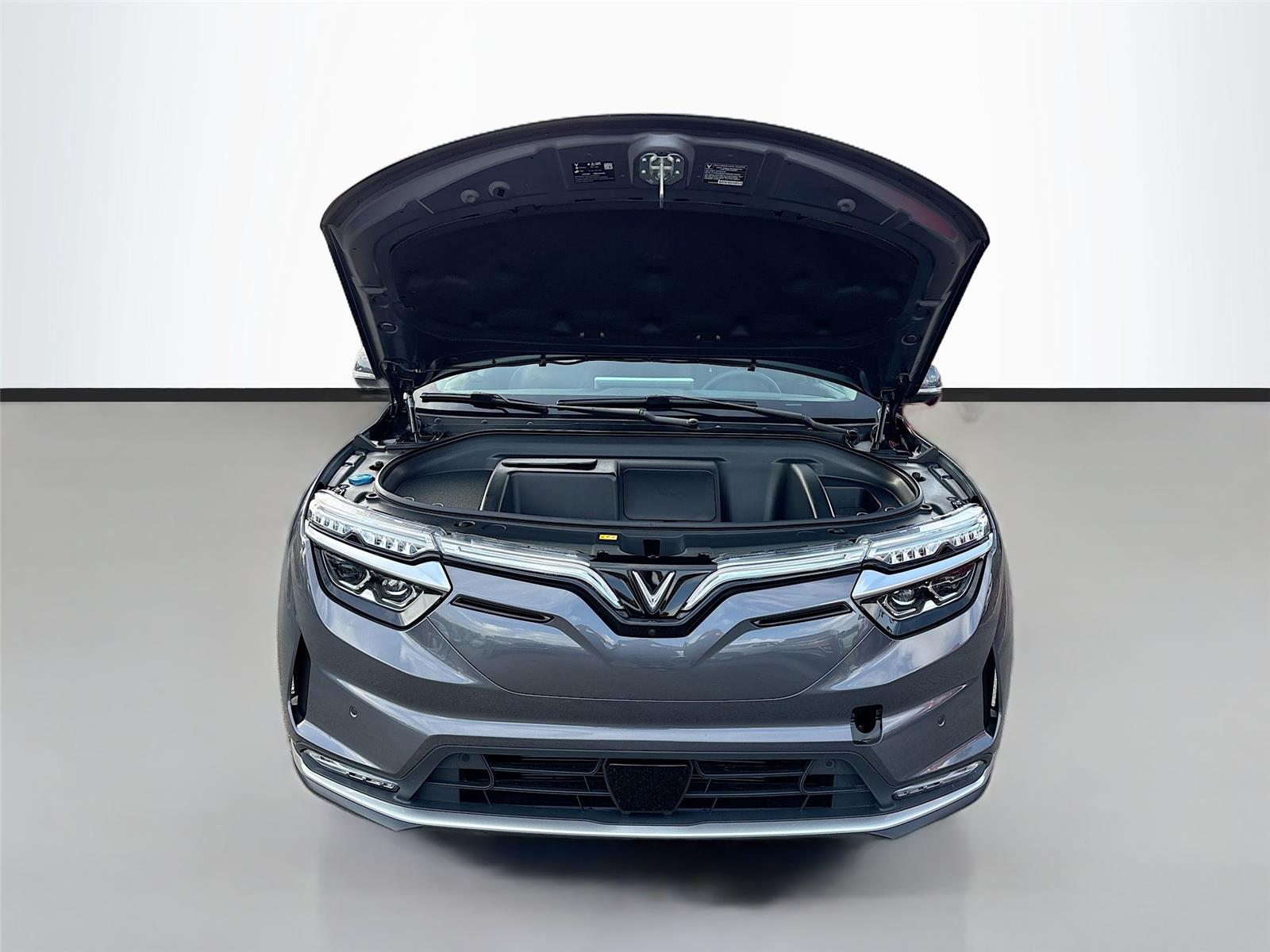 2025 VinFast VF 8 Eco
