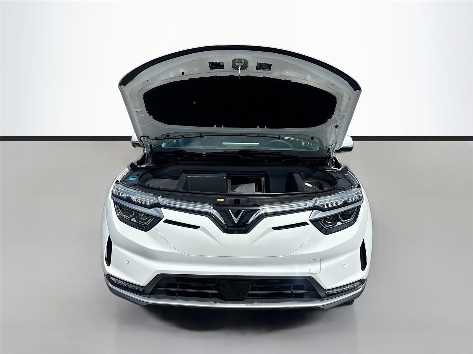 2025 VinFast VF 8 Eco