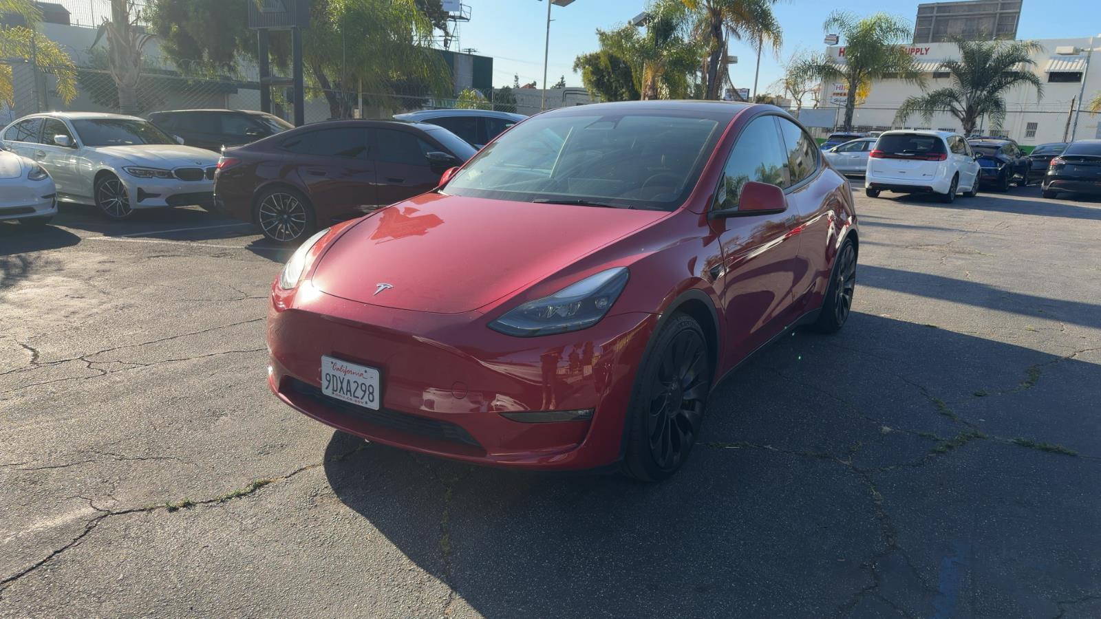 2023 Tesla Model Y Performance Dual Motor All-Wheel Drive's photo