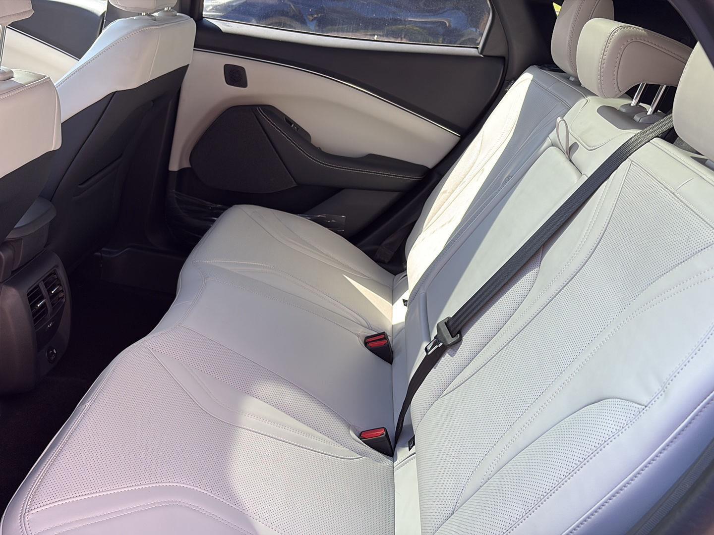 2023 Ford Mustang Mach-E Premium AWD - Photo 19