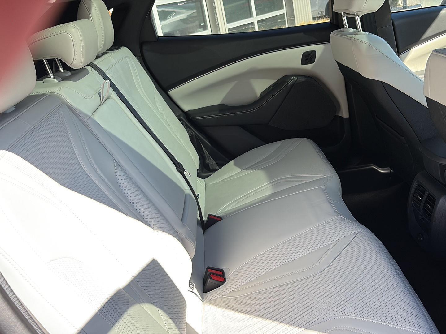 2023 Ford Mustang Mach-E Premium AWD - Photo 23