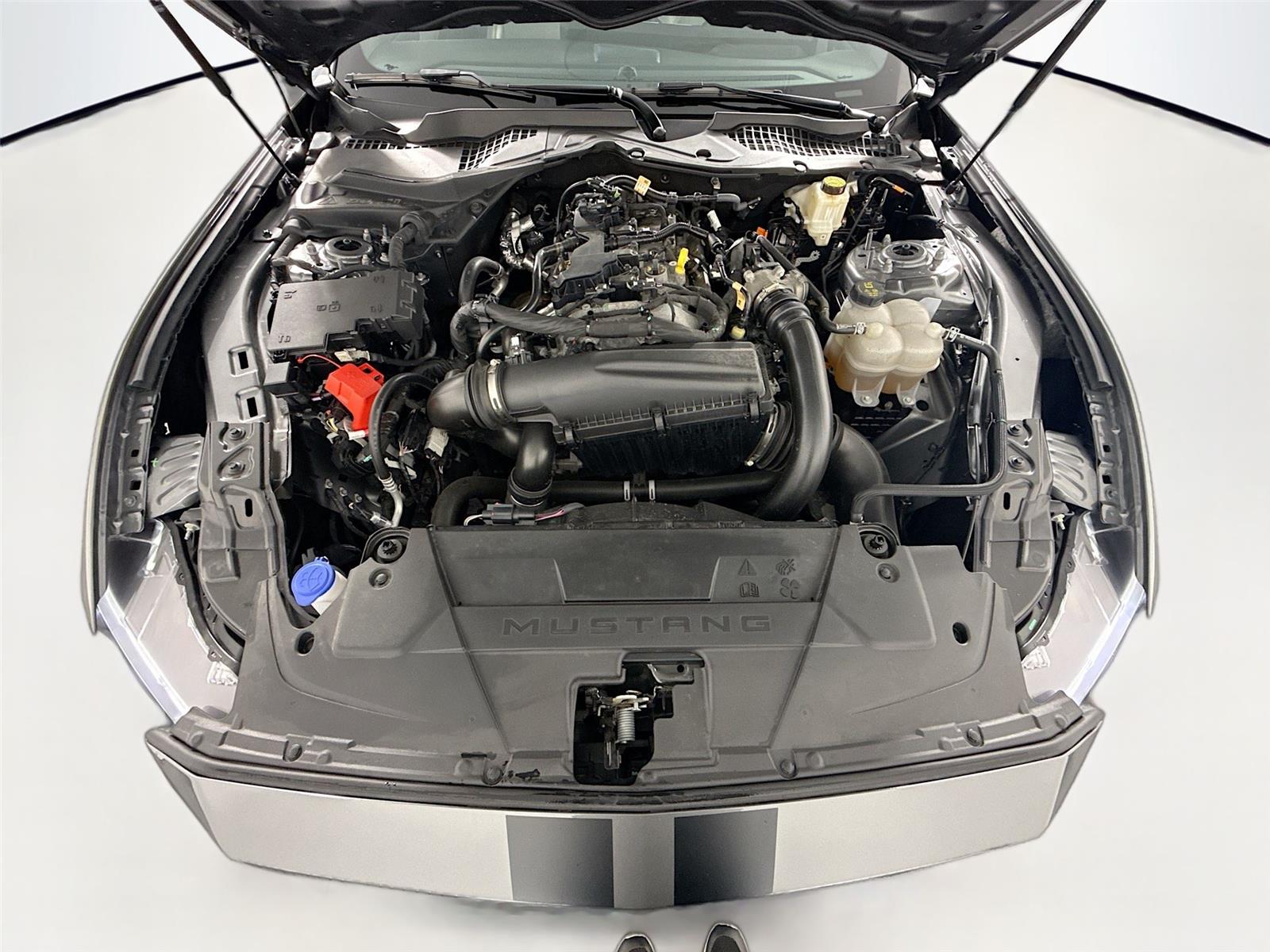 2025 Ford Mustang EcoBoost Premium Fastback RWD