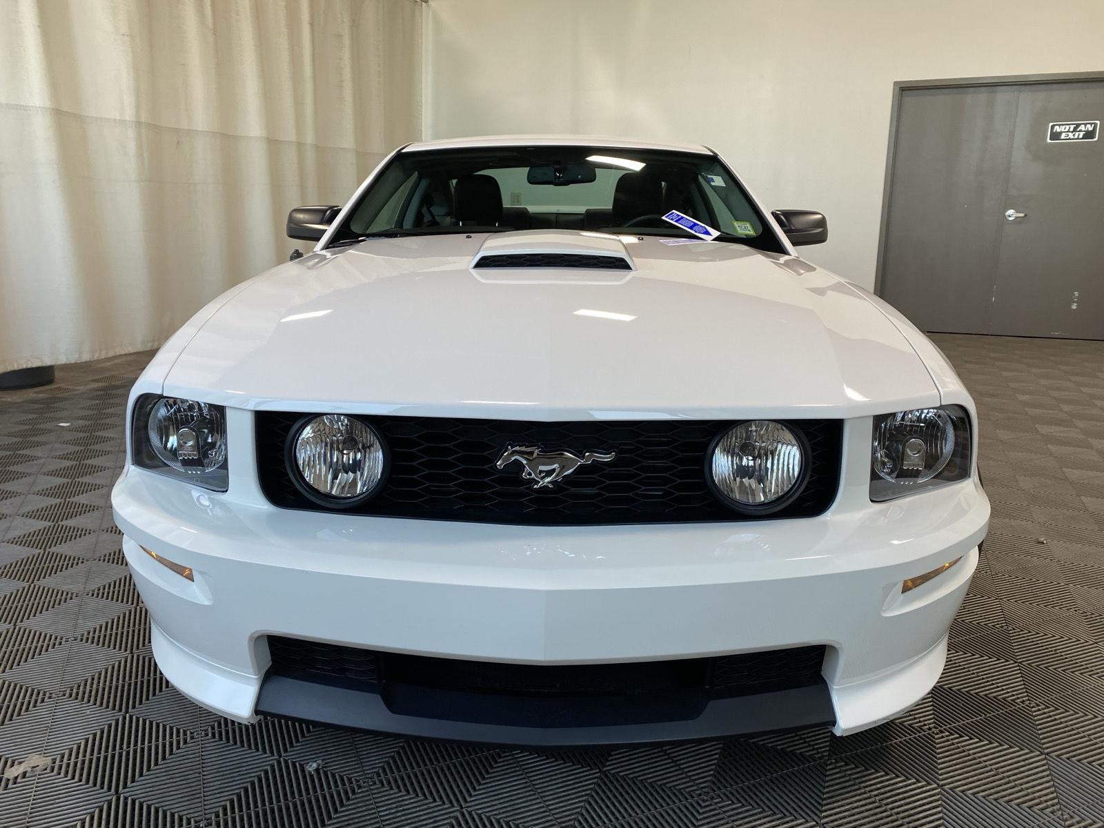Used 2008 Performance White Clearcoat Ford GT Deluxe image 3