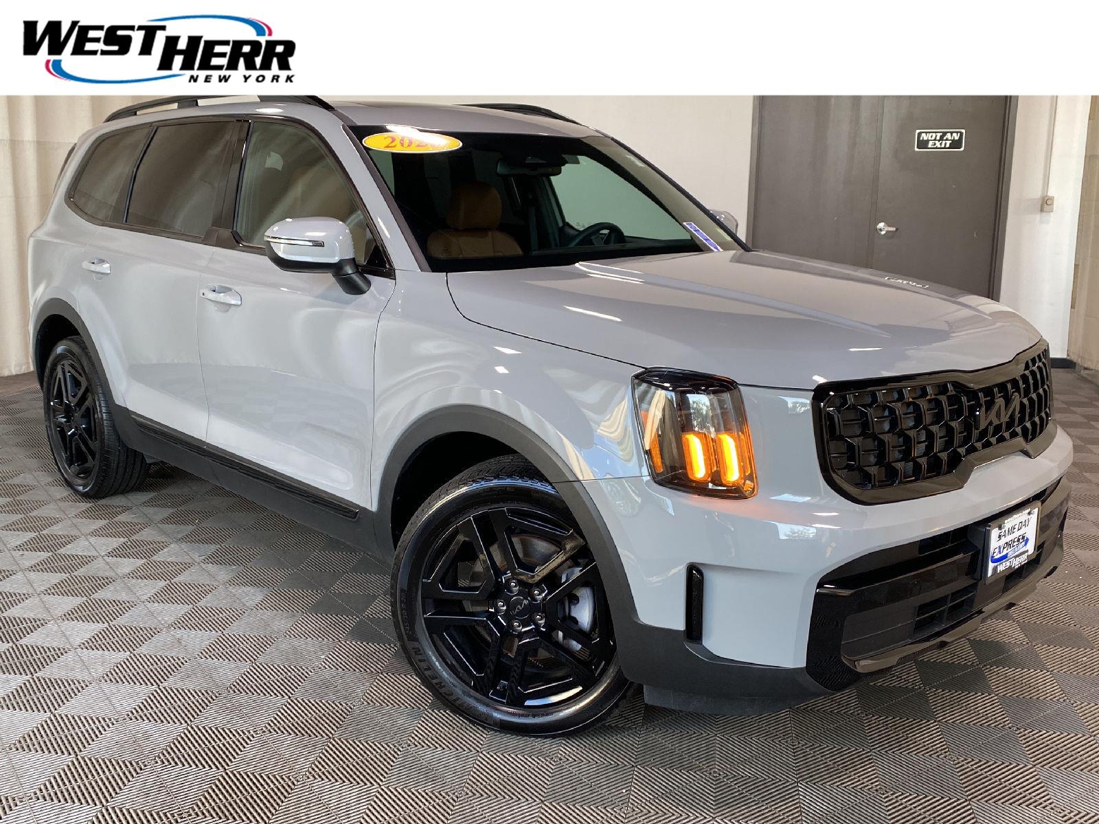 Wolf Gray 2025 Kia Telluride SUV / Crossover All-Wheel Drive Automatic