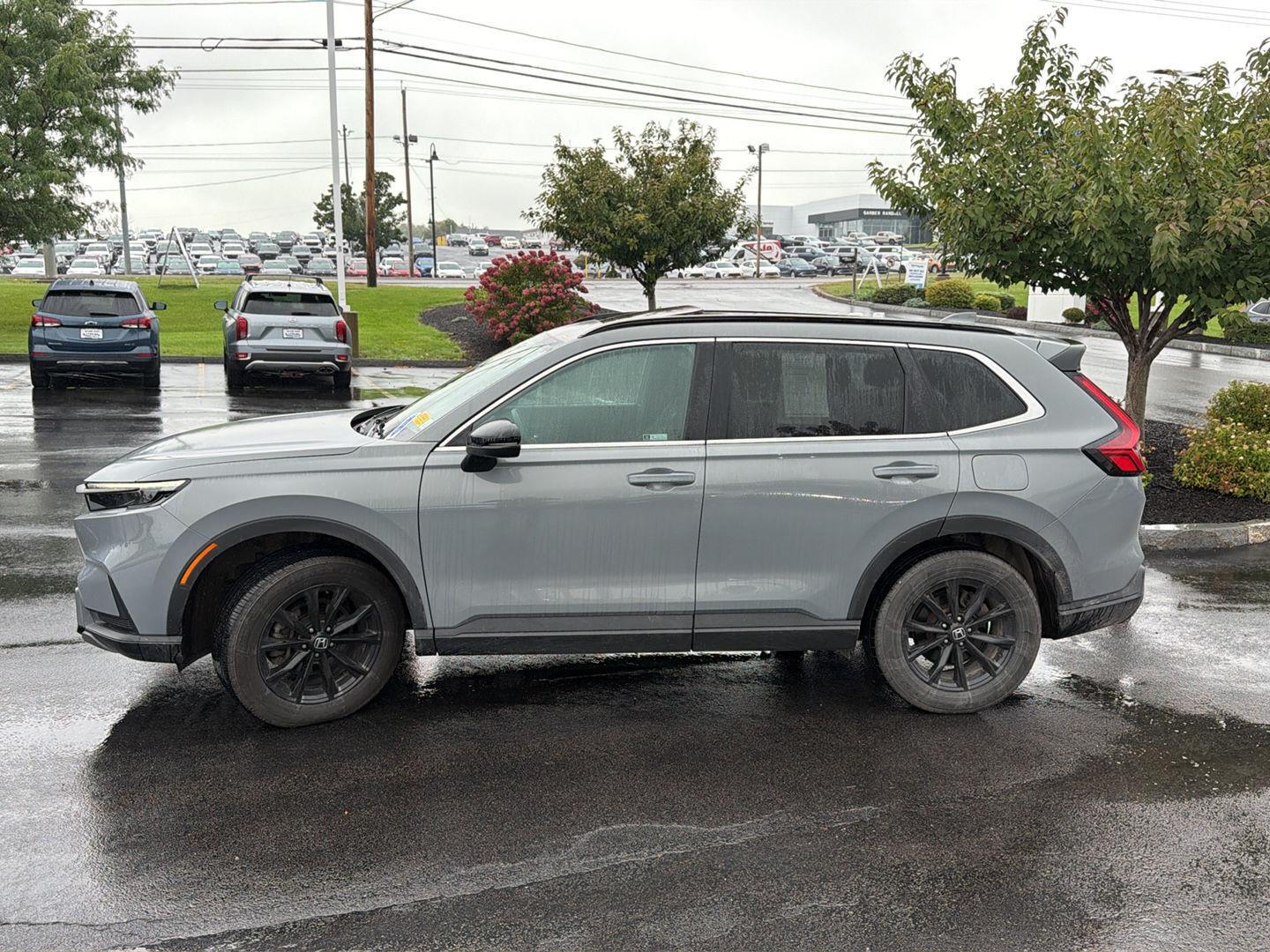 Used 2024 Urban Gray Pearl Honda Sport image 4