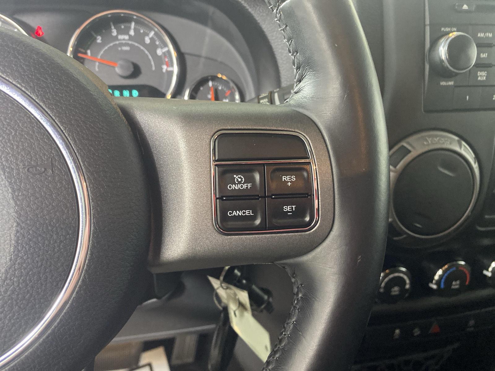 Used 2017 Rhino Clearcoat Jeep Big Bear image 15