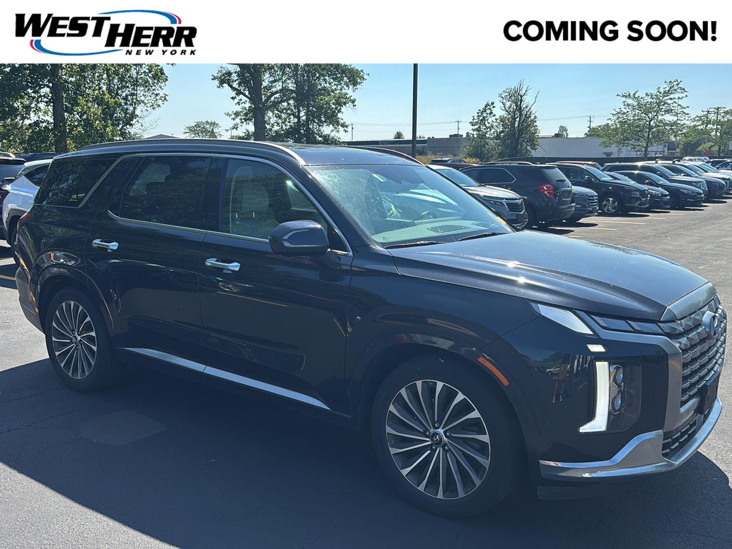  2023 Hyundai Palisade Calligraphy AWD   