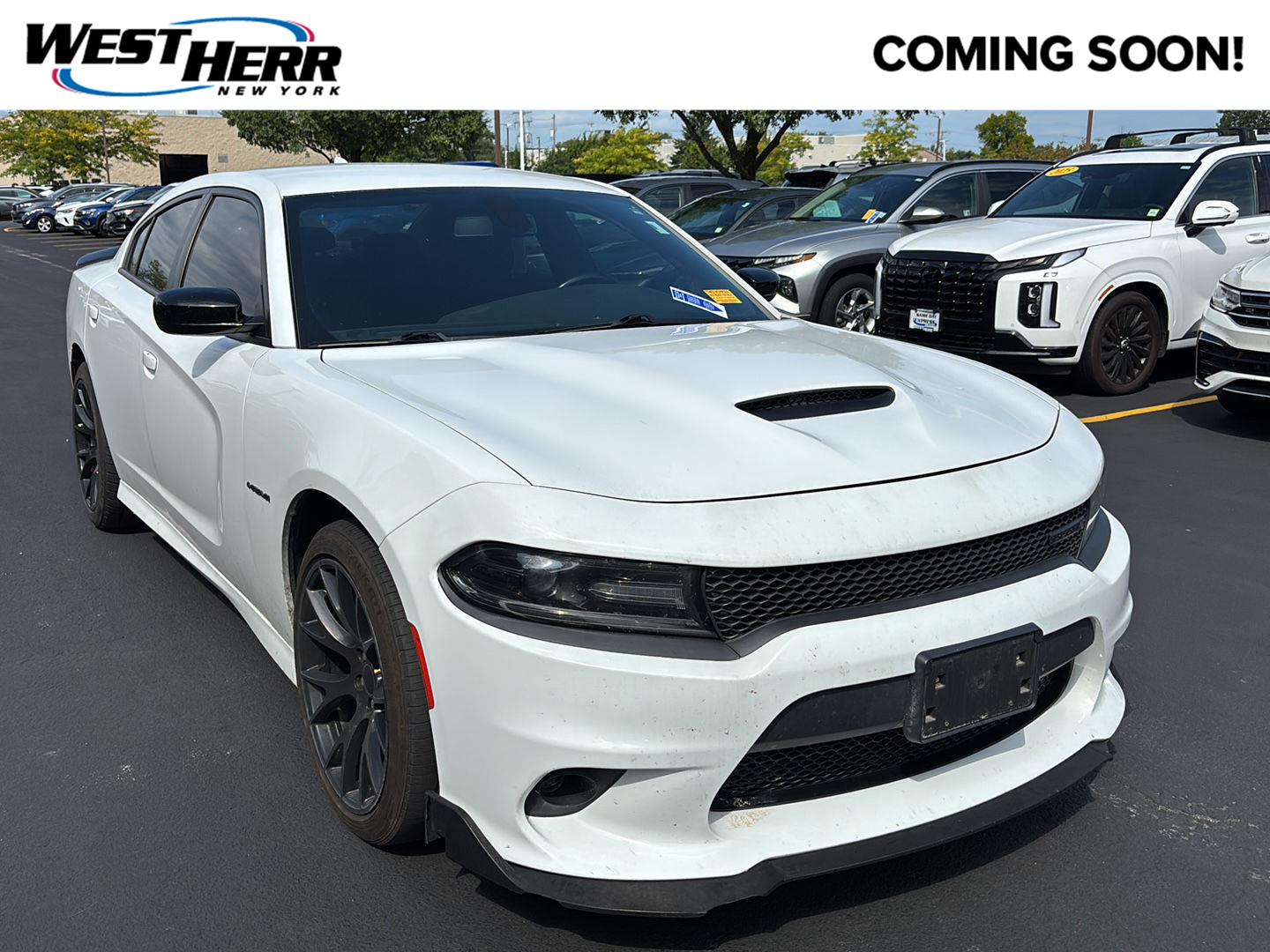 dodge charger windows fogging up Pre-Owned 2020 R/T Sedan in #HWC260005B Vuse Pods 2 Pack: window deflectors LED BARS Flavor:Pink Kiwi
