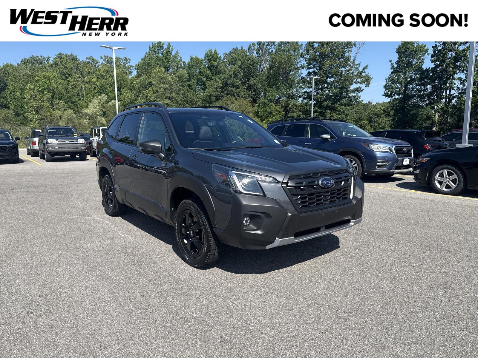 2024 Subaru Forester Wilderness