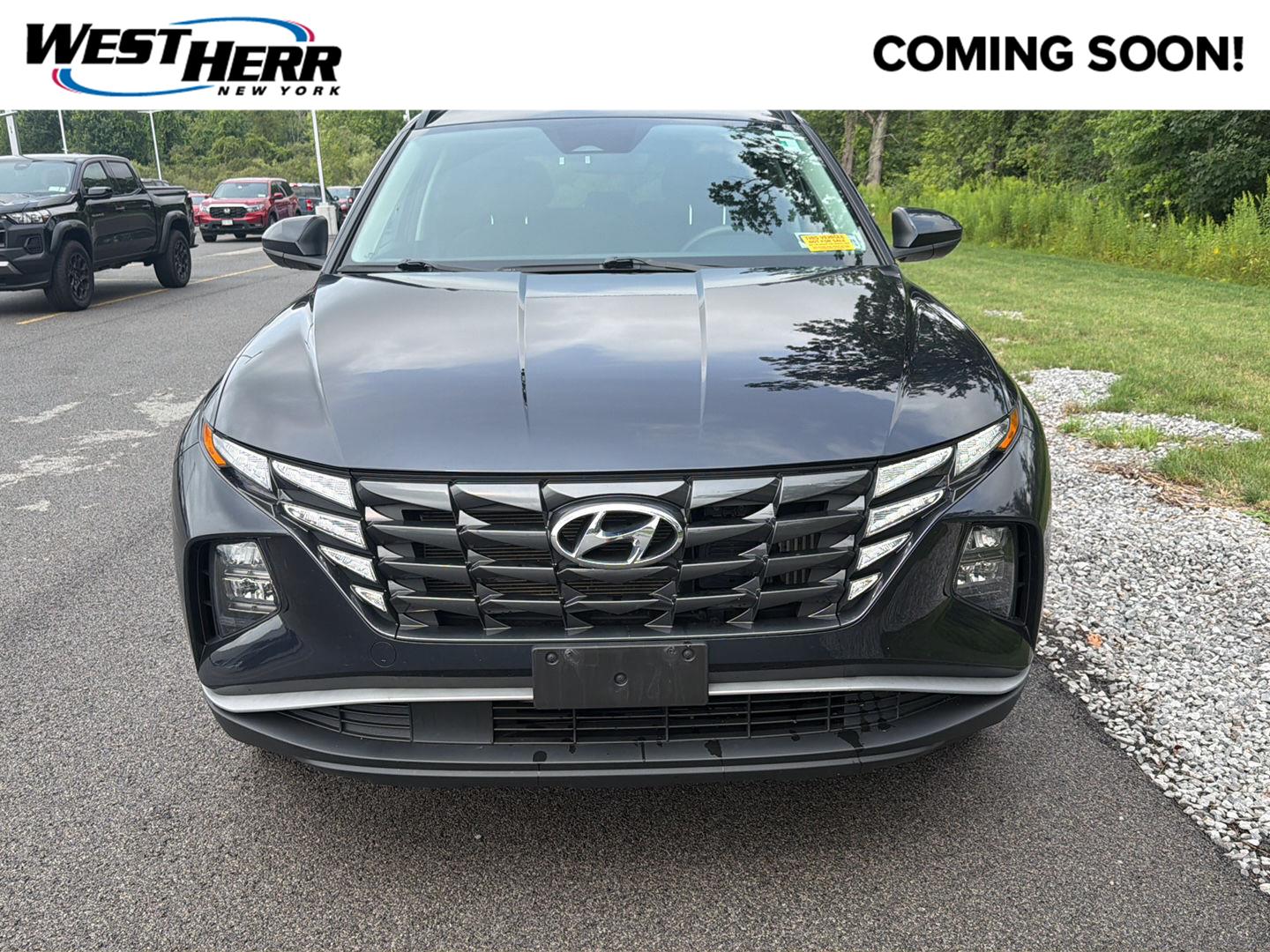  2024 Hyundai Tucson Hybrid Blue AWD   