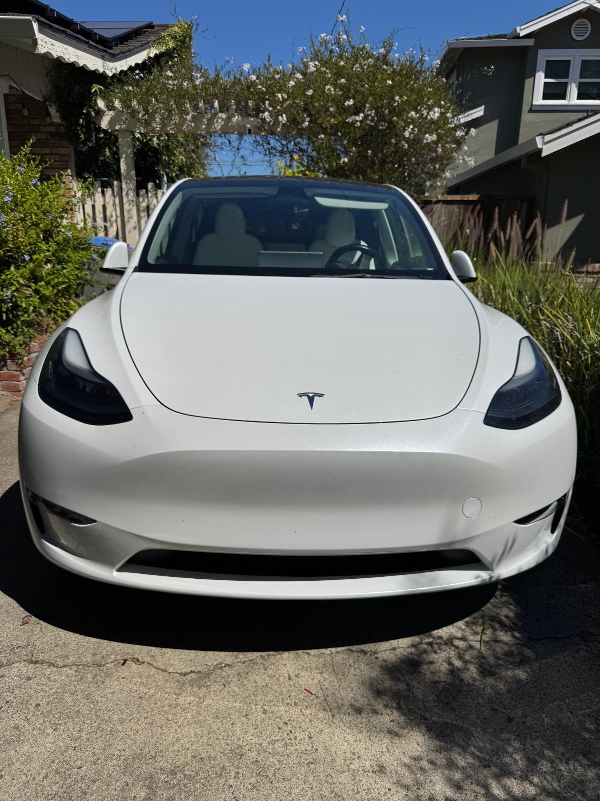 2023 Tesla Model Y's photo