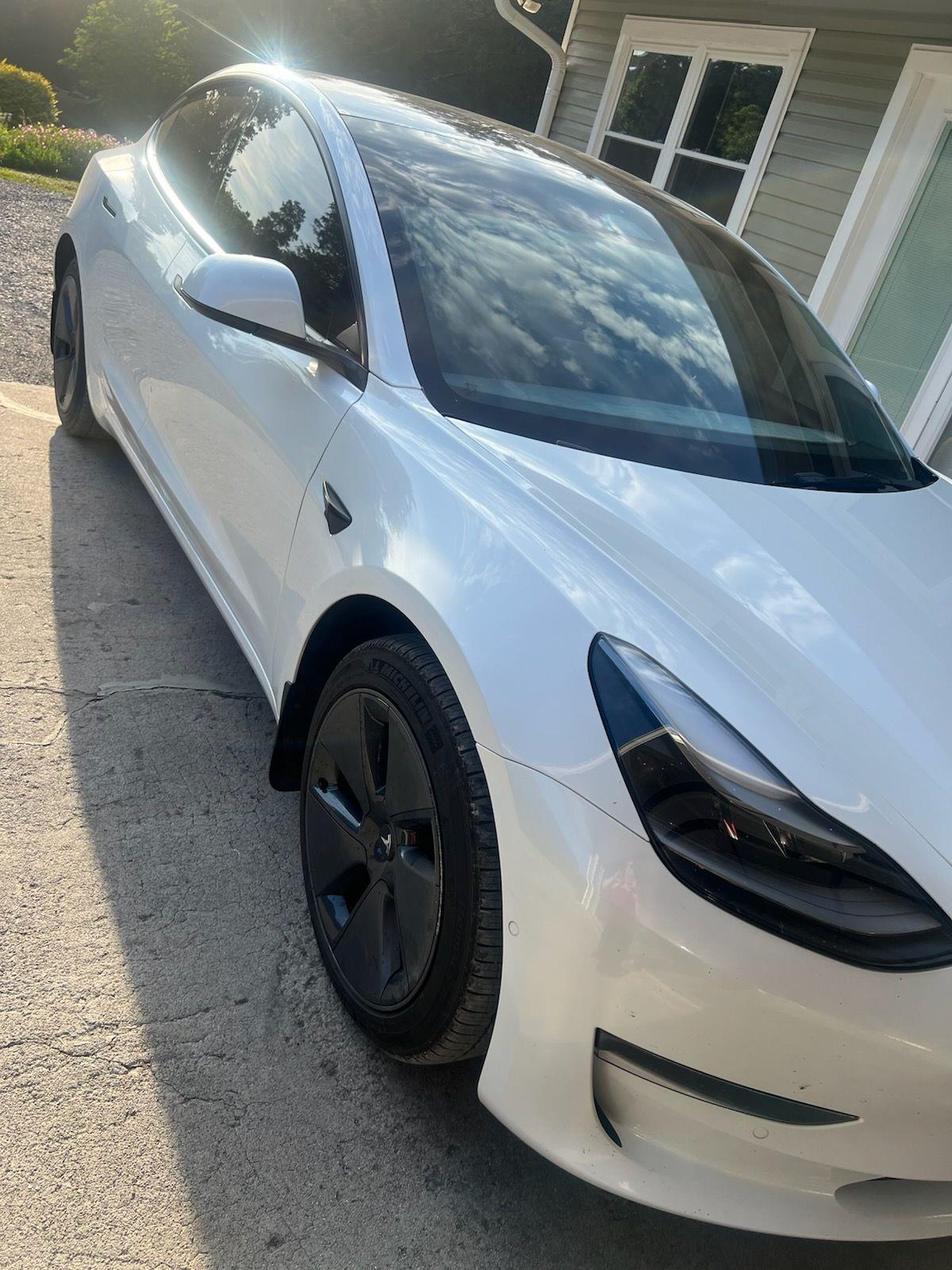 2022 Tesla Model 3's photo