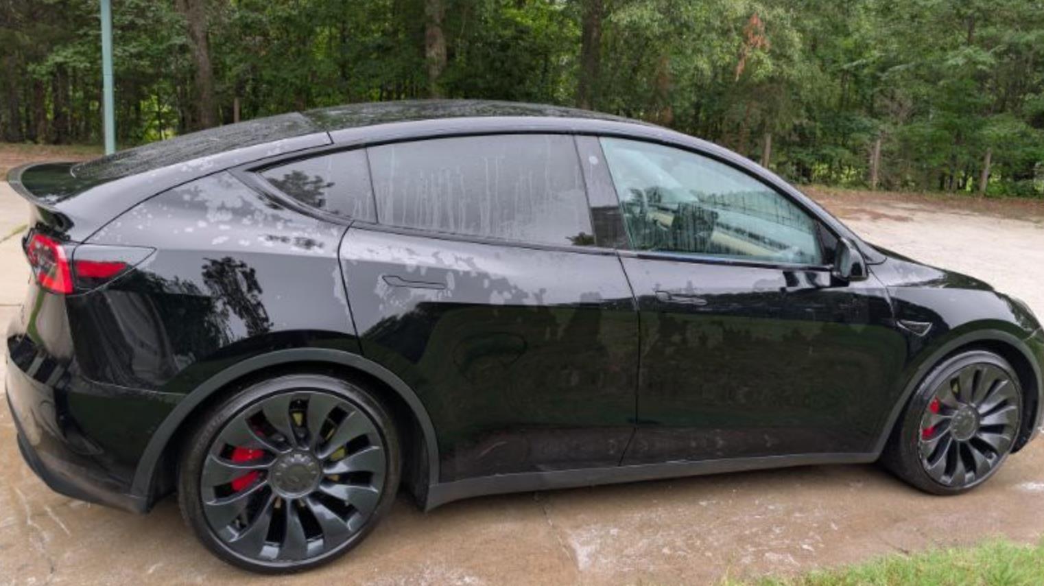 2023 Tesla Model Y Performance Dual Motor All-Wheel Drive's photo