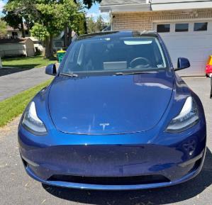 2021 Tesla Model Y's photo