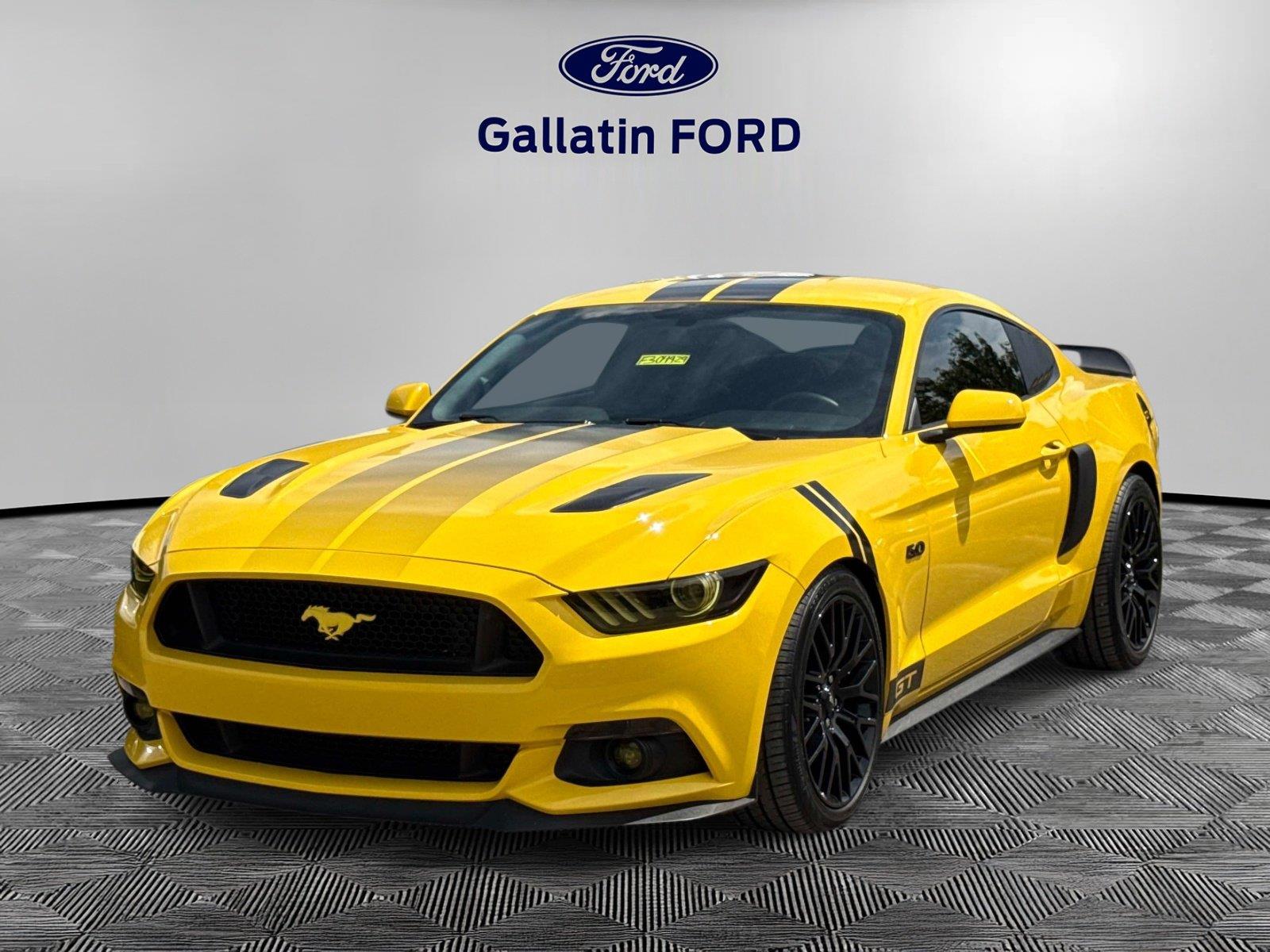 2017 Ford Mustang GT Coupe RWD    