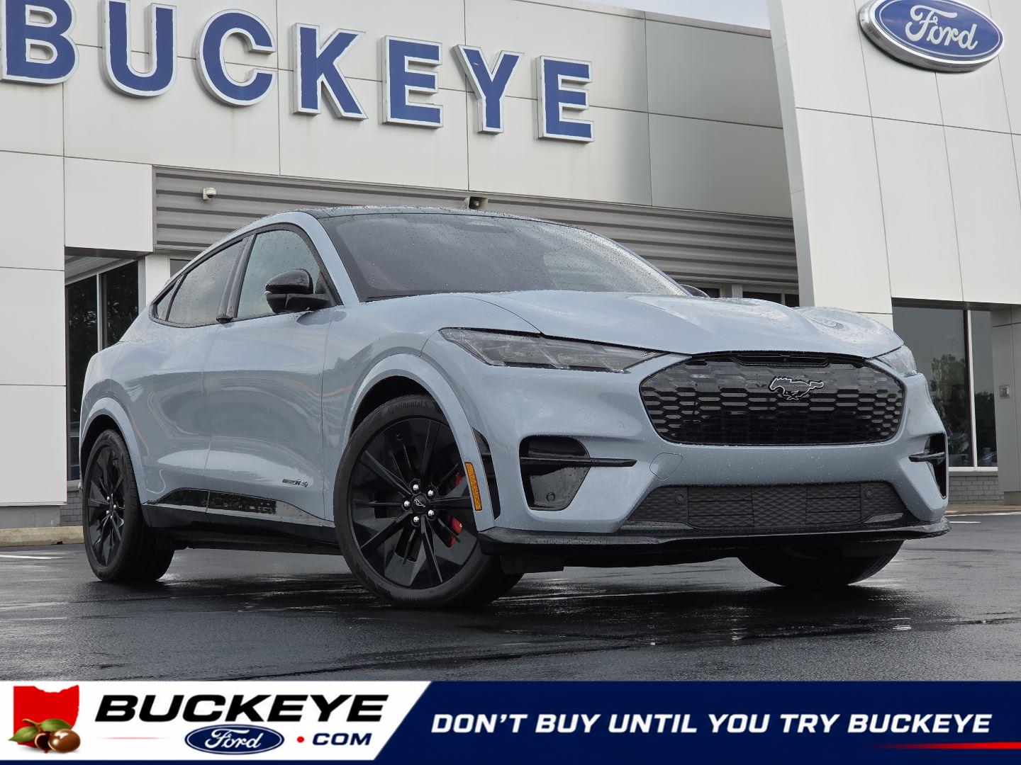 Glacier Gray Metallic Tri-Coat 2025 Ford Mustang Mach-E SUV / Crossover All-Wheel Drive 1-Speed Dual Clutch