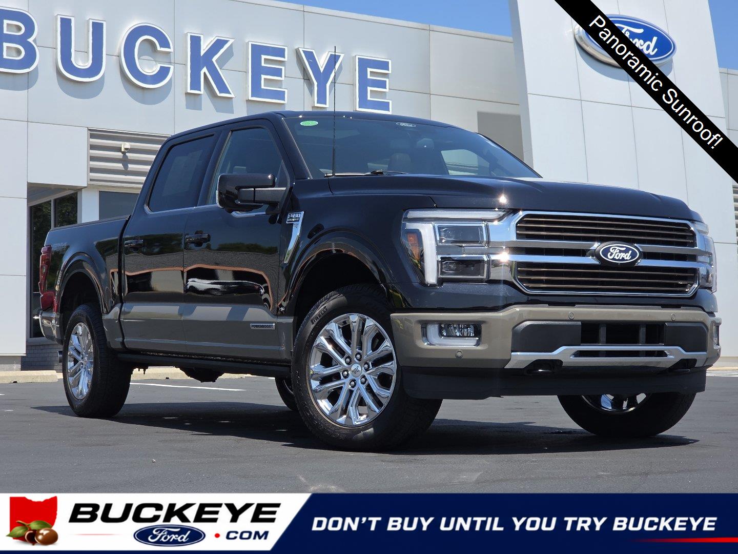 Agate Black/Marsh Gray 2025 Ford F-150 Pickup Truck Four-Wheel Drive Automatic