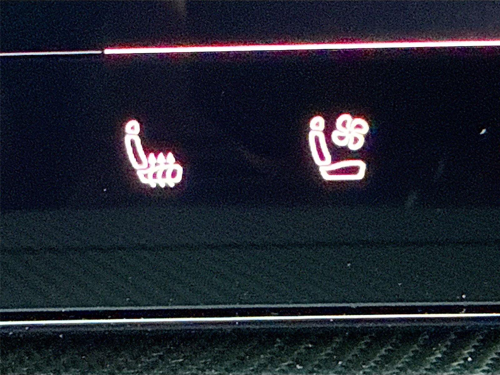 2025 Audi SQ5 Premium Plus