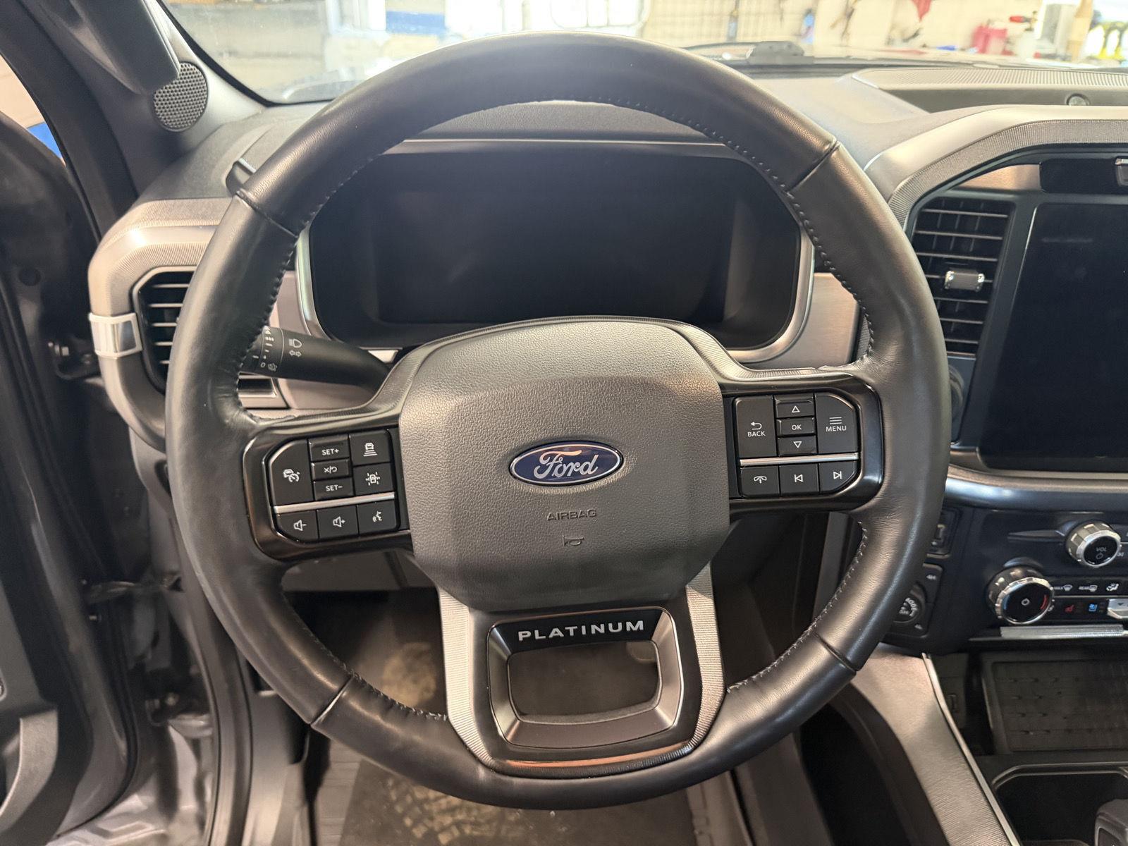 2024 Carbonized Gray Metallic Ford F-150 Platinum 4X4 Truck