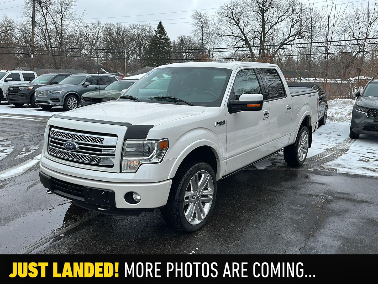 2014 Ford F-150 Platinum