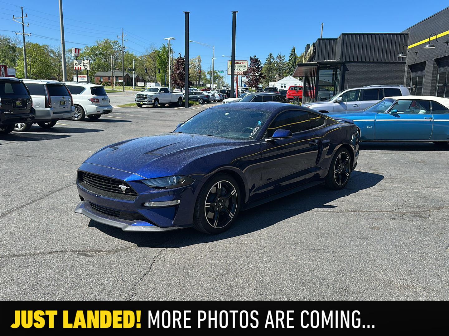 2019 Ford Mustang