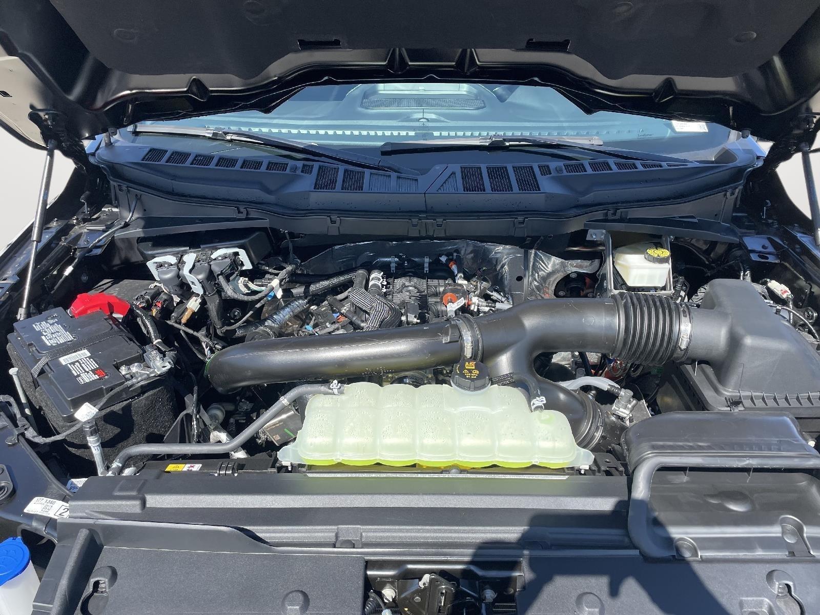 New 2024 Ford F-150 for sale in Lincoln NE