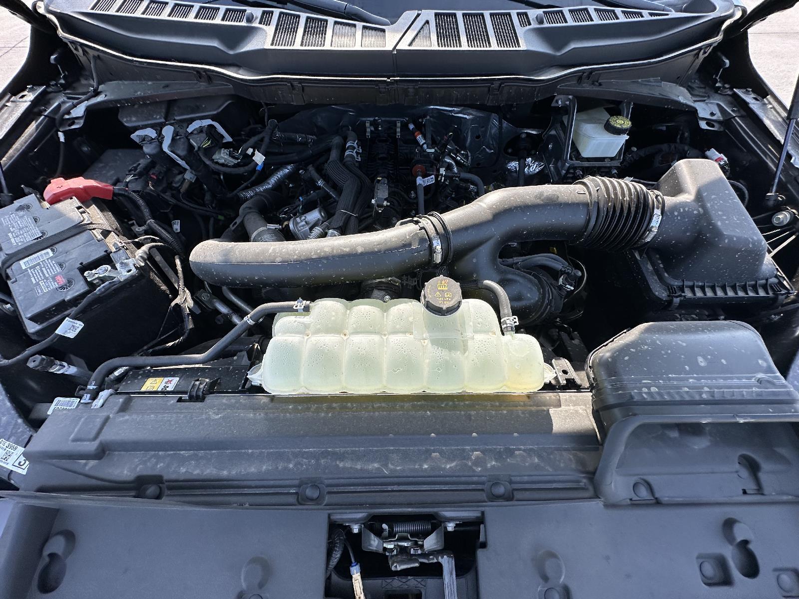 New 2024 Ford F-150 for sale in Lincoln NE