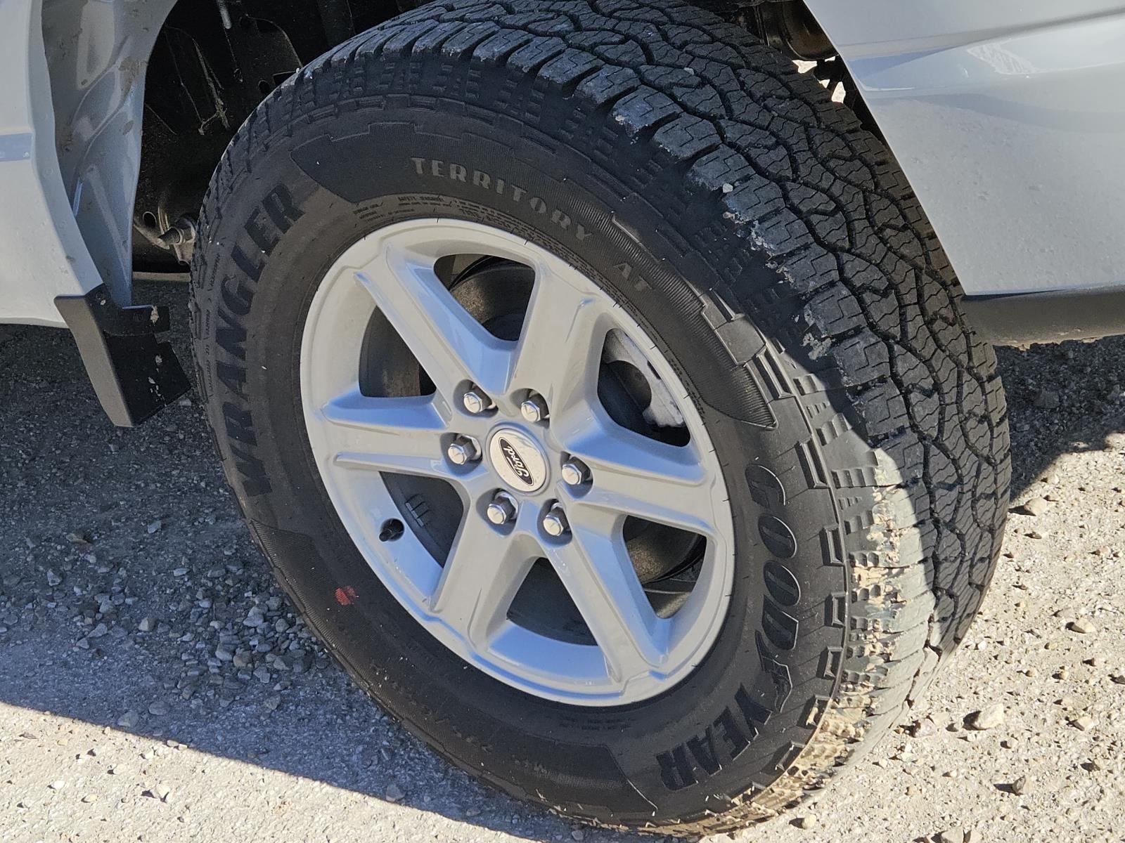 2026 Ford F-150 XLT - Photo 6