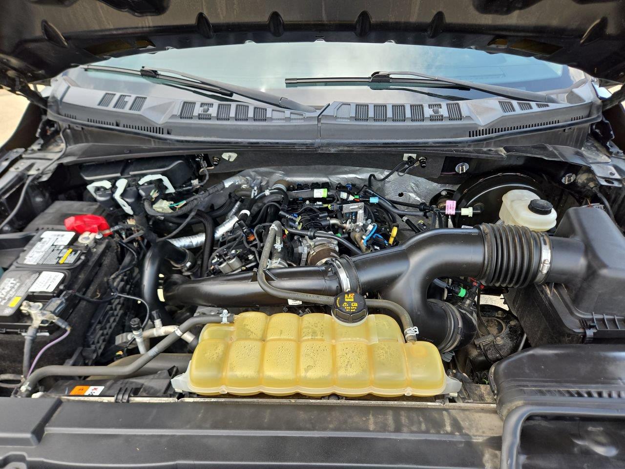 2020 Ford F-150 XL at Mac Haik CDJR North Houston