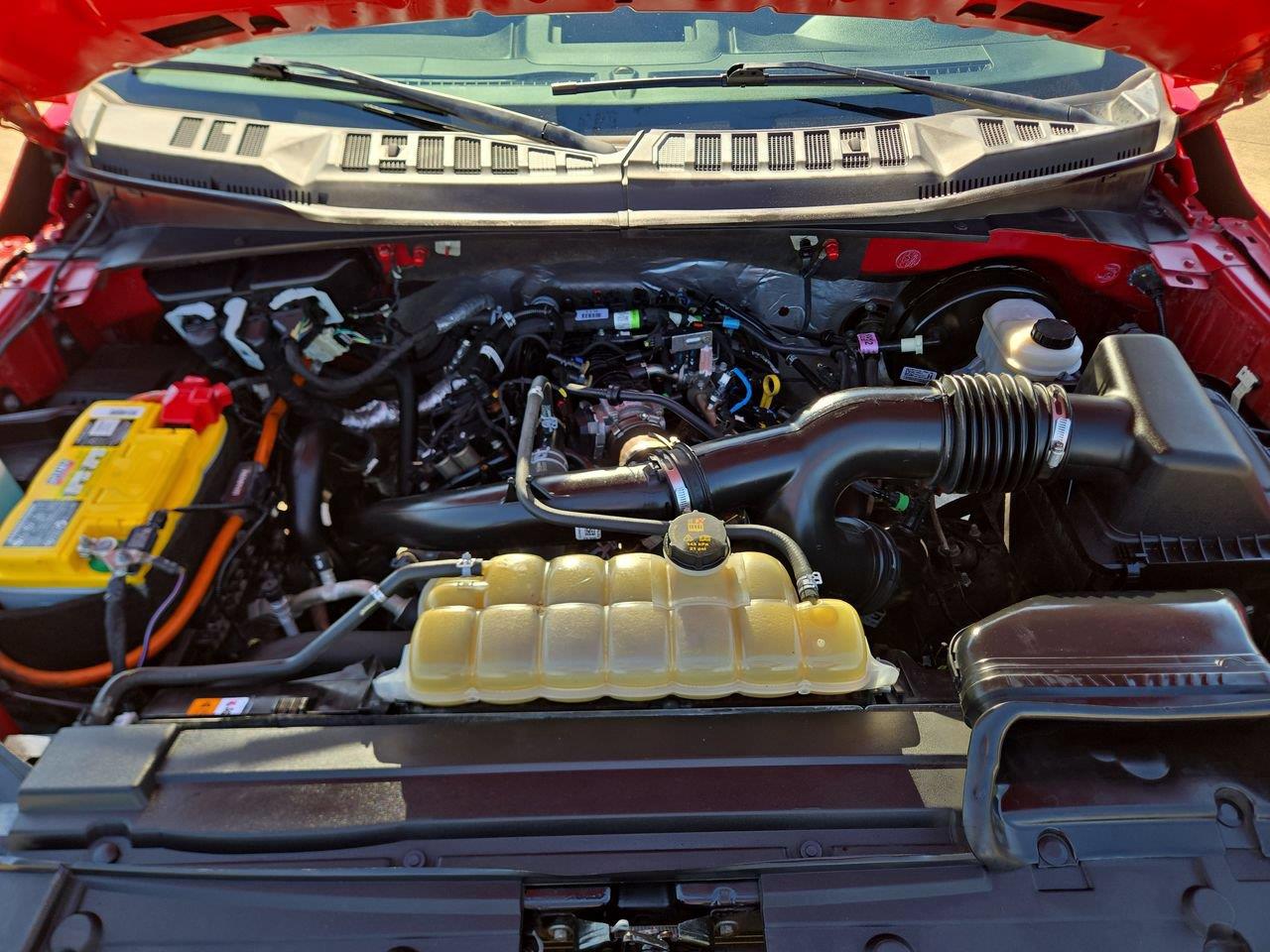 2020 Ford F-150 photo 23 of 23