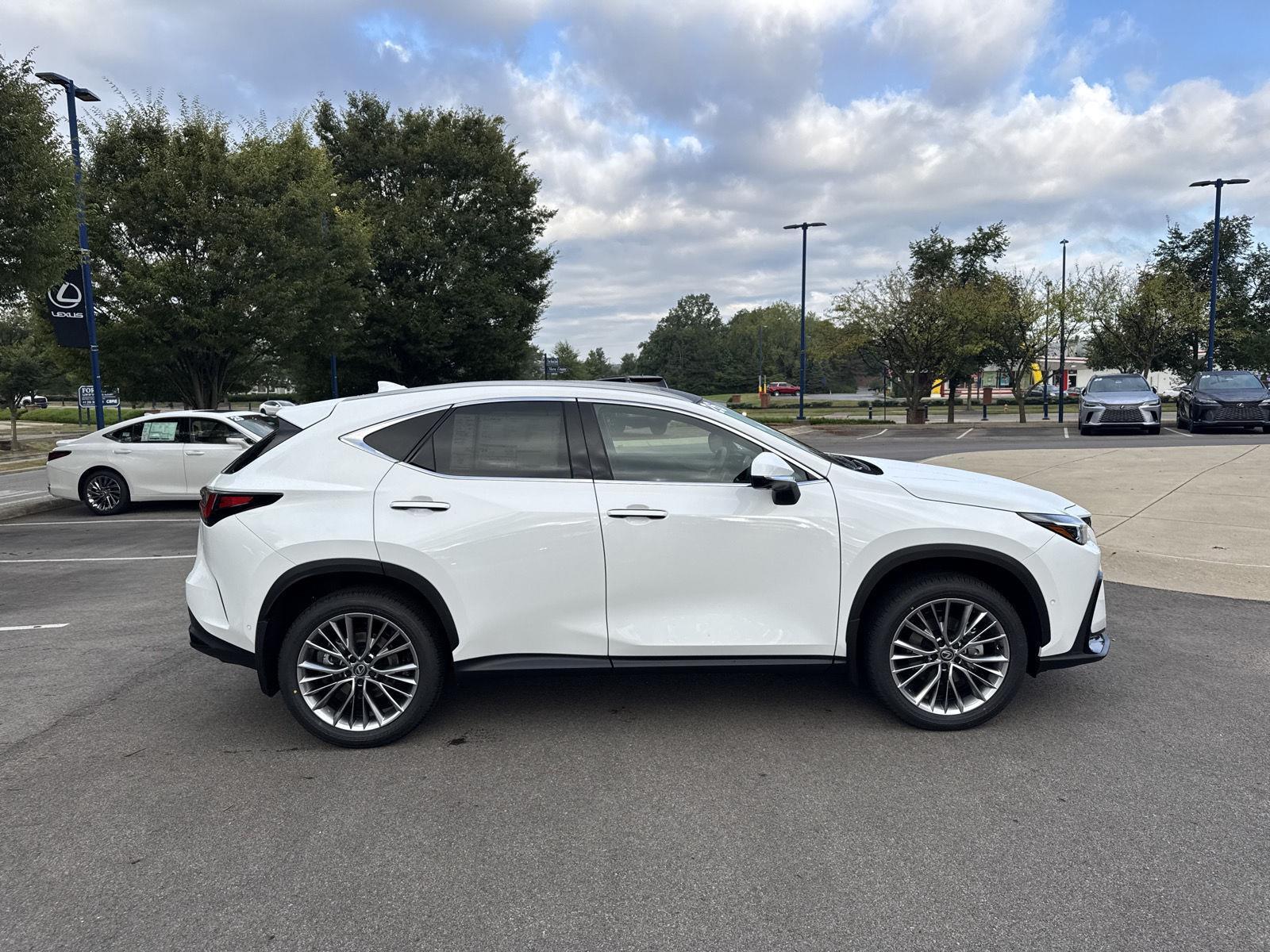 2026 Lexus NX 350 Luxury photo 5