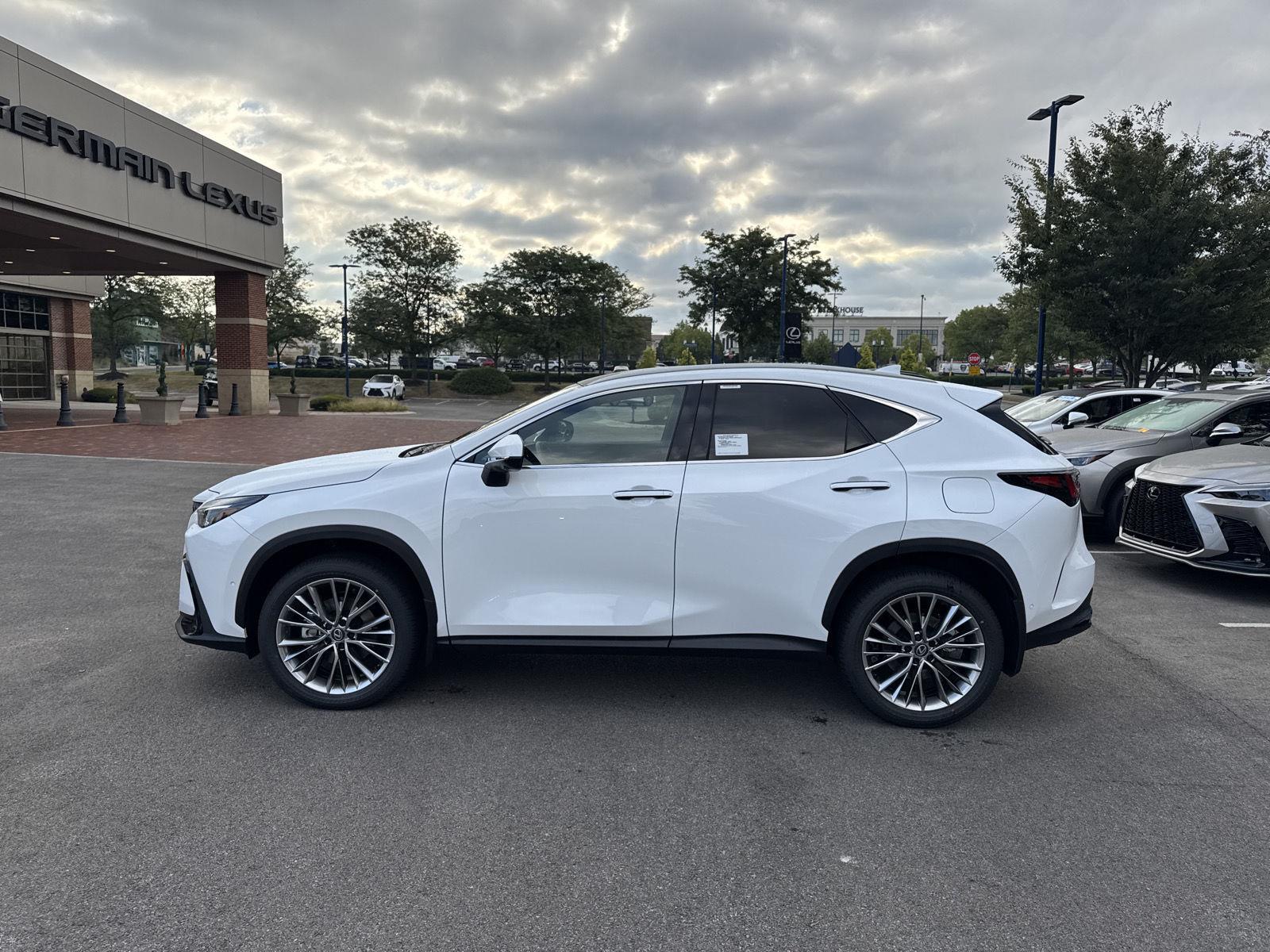 2026 Lexus NX 350 Luxury photo 8