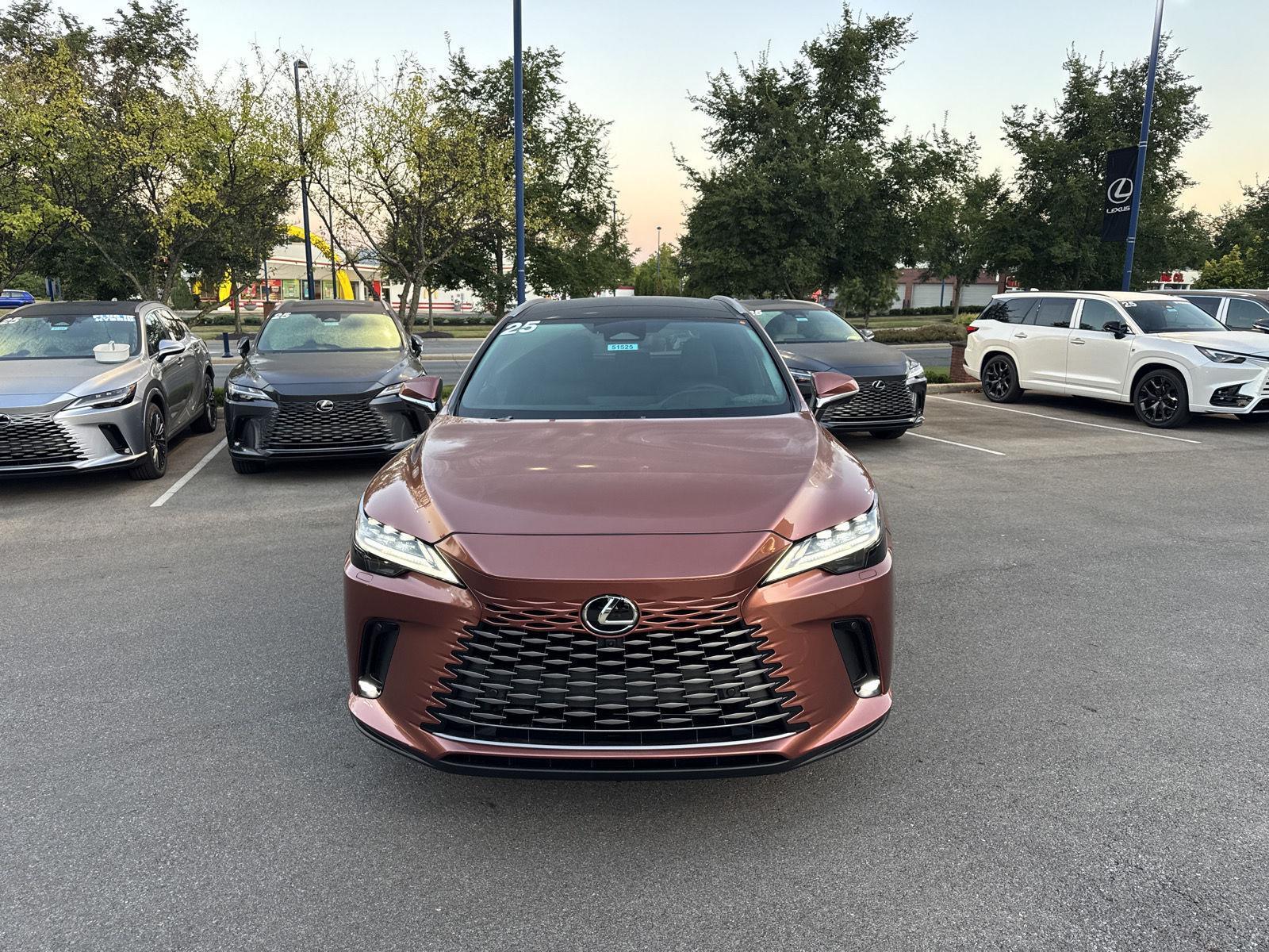 2025 Lexus RX 350 Luxury AWD photo 2