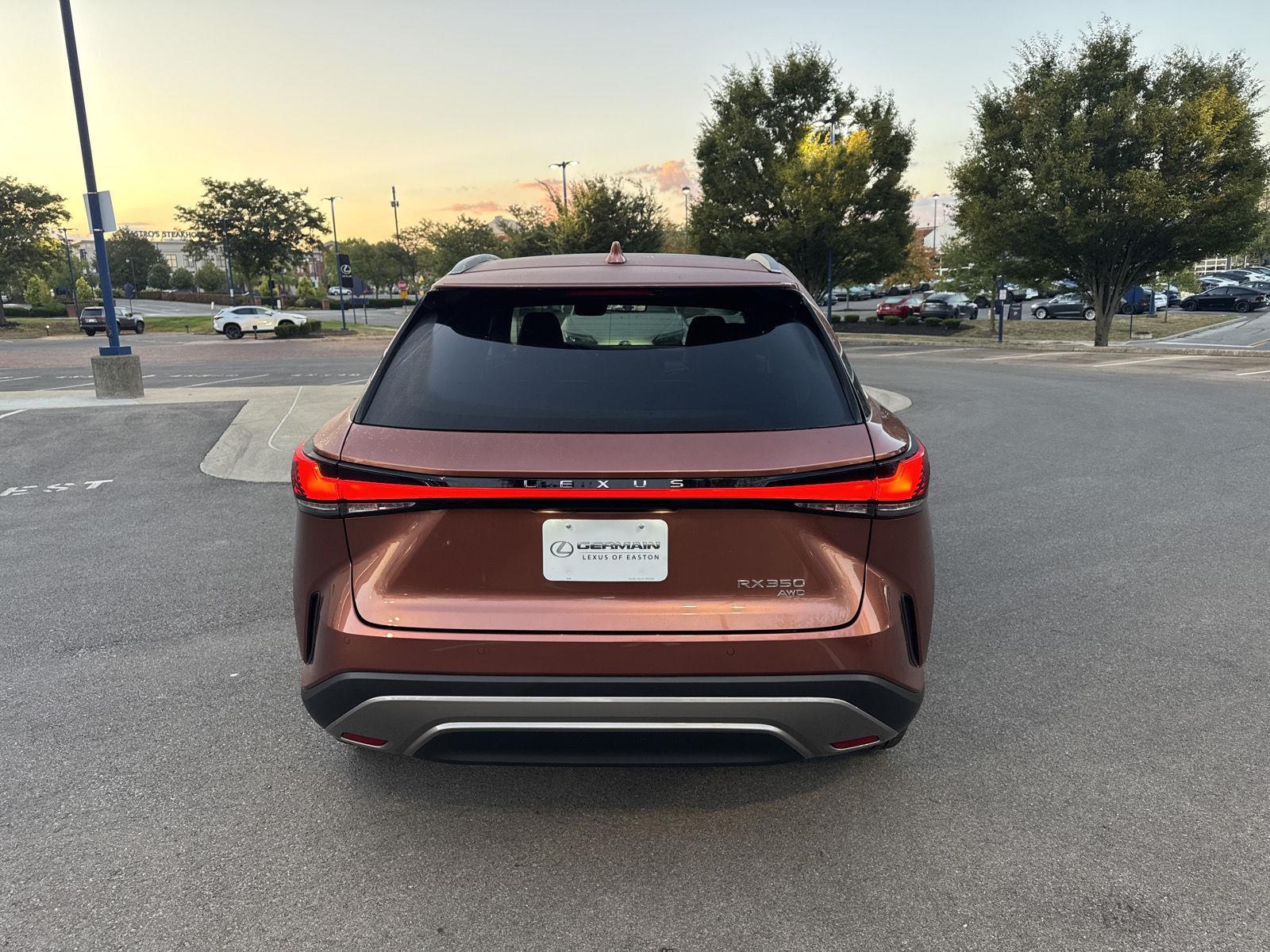 2025 Lexus RX 350 Luxury AWD photo 6