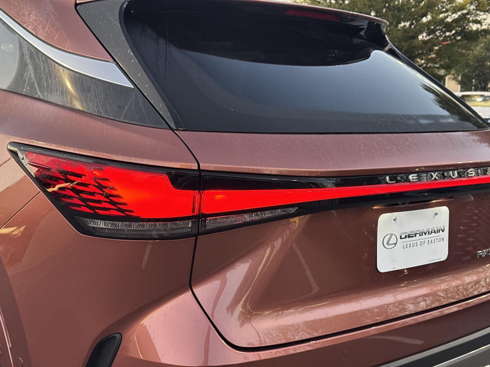2025 Lexus RX 350 Luxury AWD photo 11