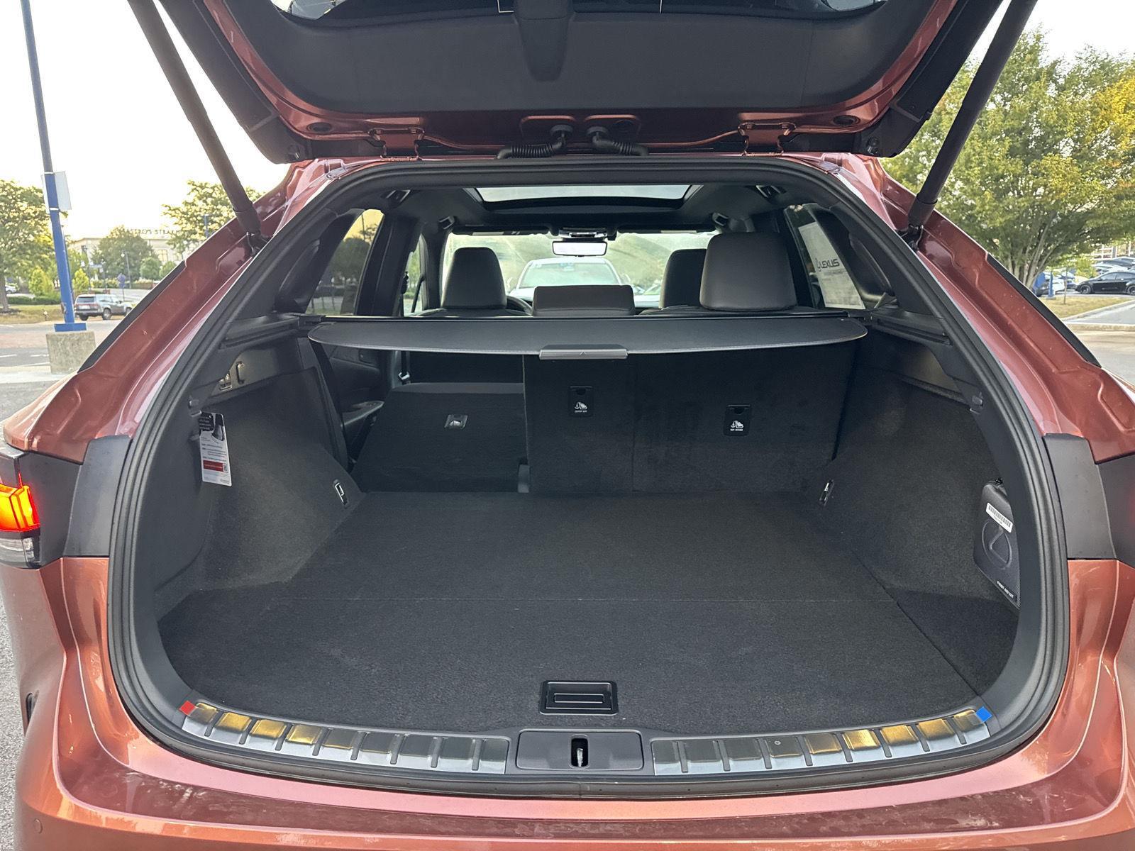 2025 Lexus RX 350 Luxury AWD photo 12