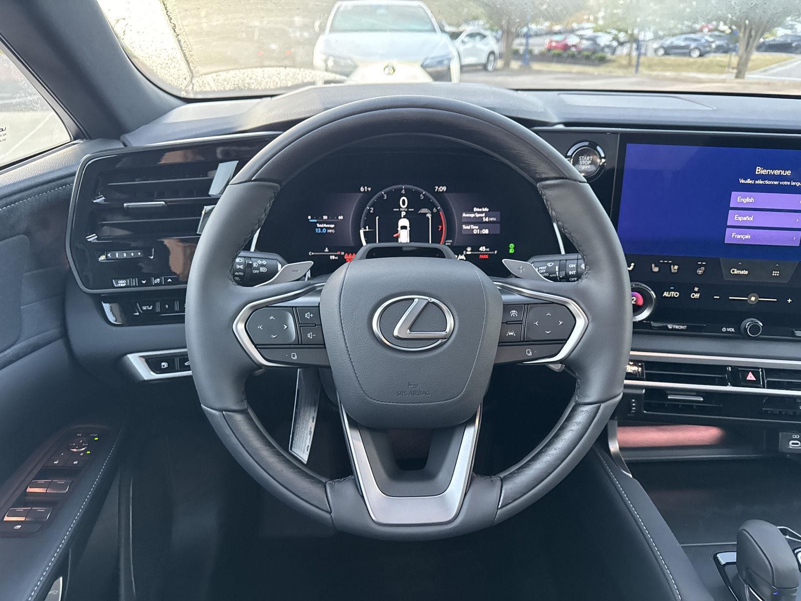2025 Lexus RX 350 Luxury AWD photo 17