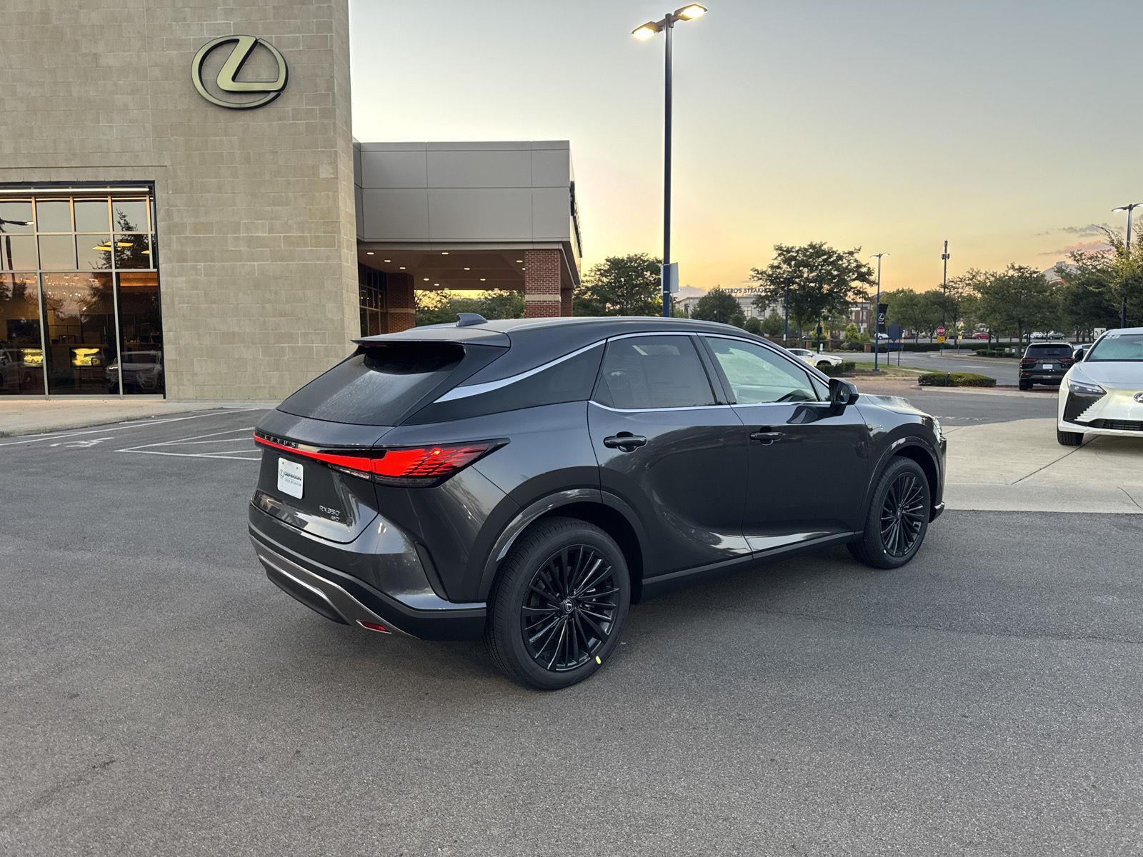 2025 Lexus RX Premium photo 5