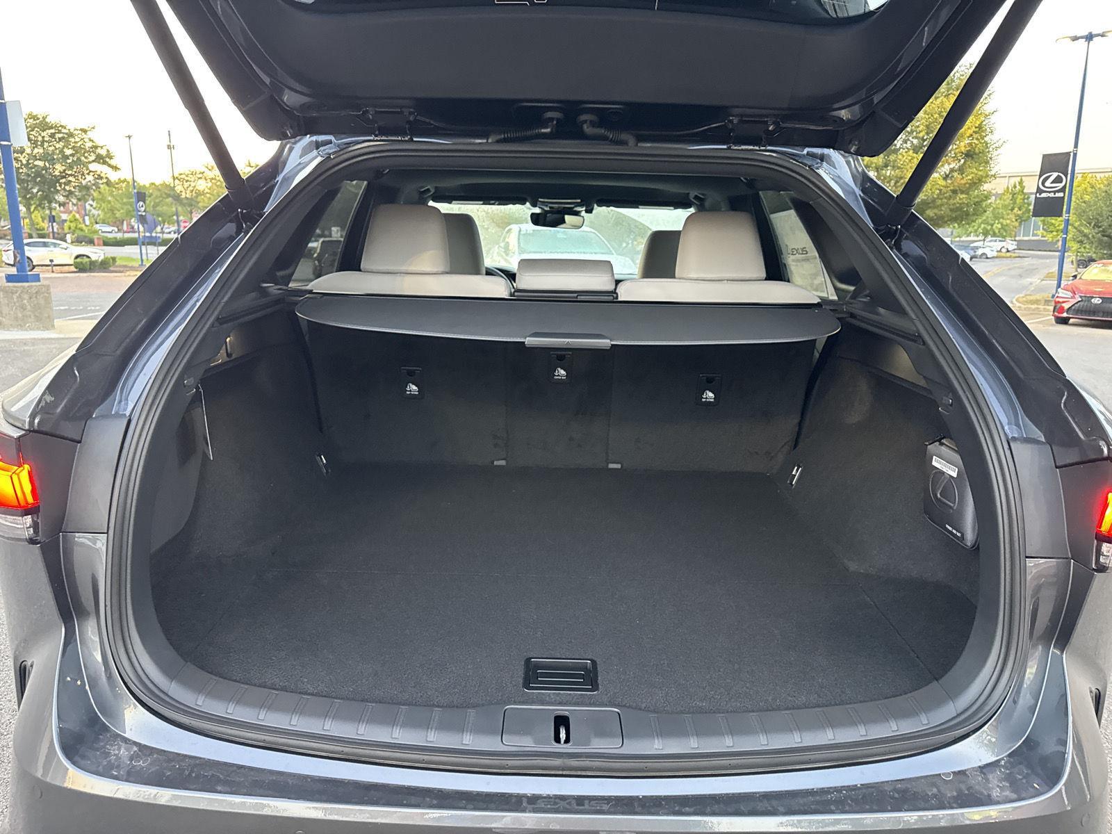 2025 Lexus RX Premium photo 12