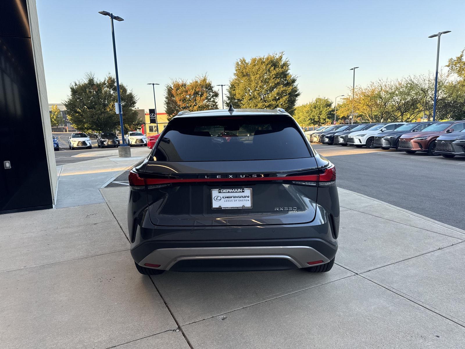 2025 Lexus RX 350 Luxury AWD photo 6