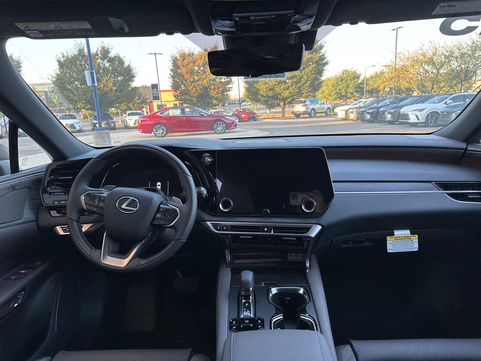 2025 Lexus RX 350 Luxury AWD photo 14