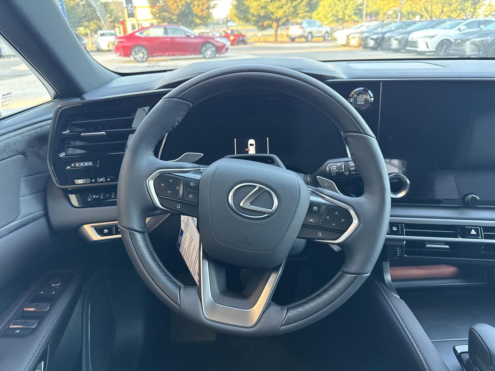 2025 Lexus RX 350 Luxury AWD photo 15