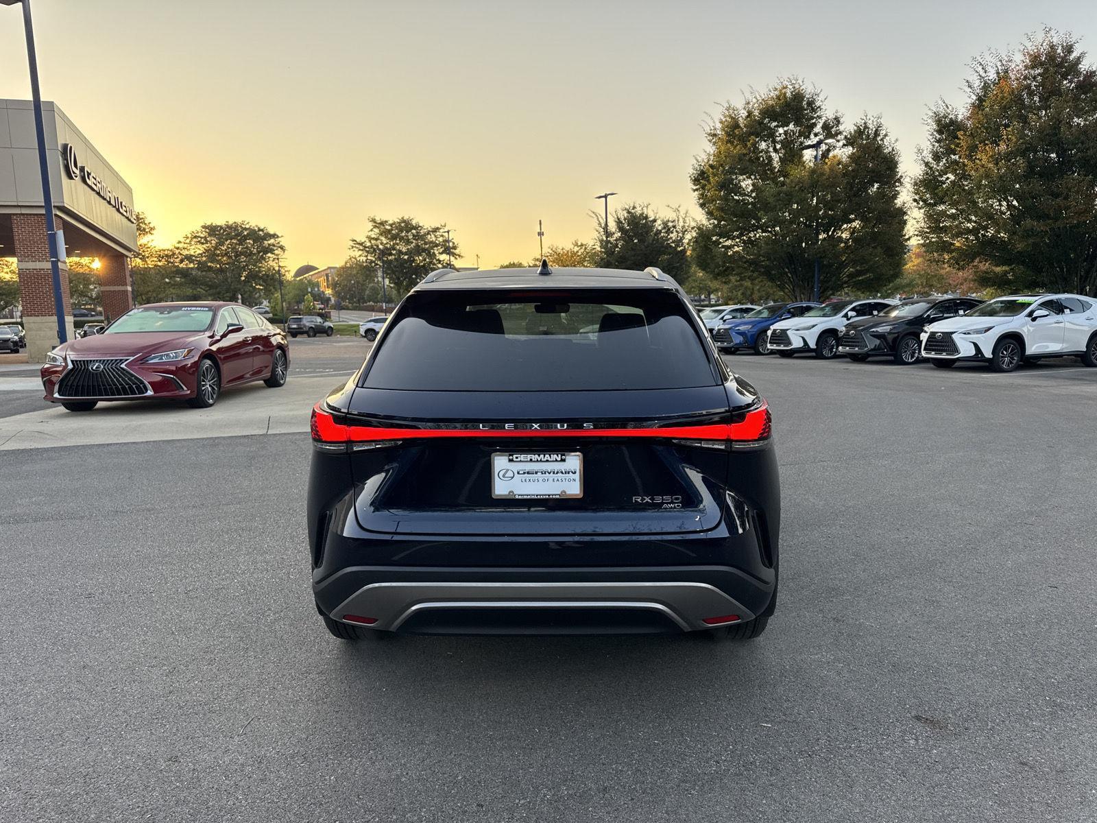 2025 Lexus RX Premium AWD photo 6