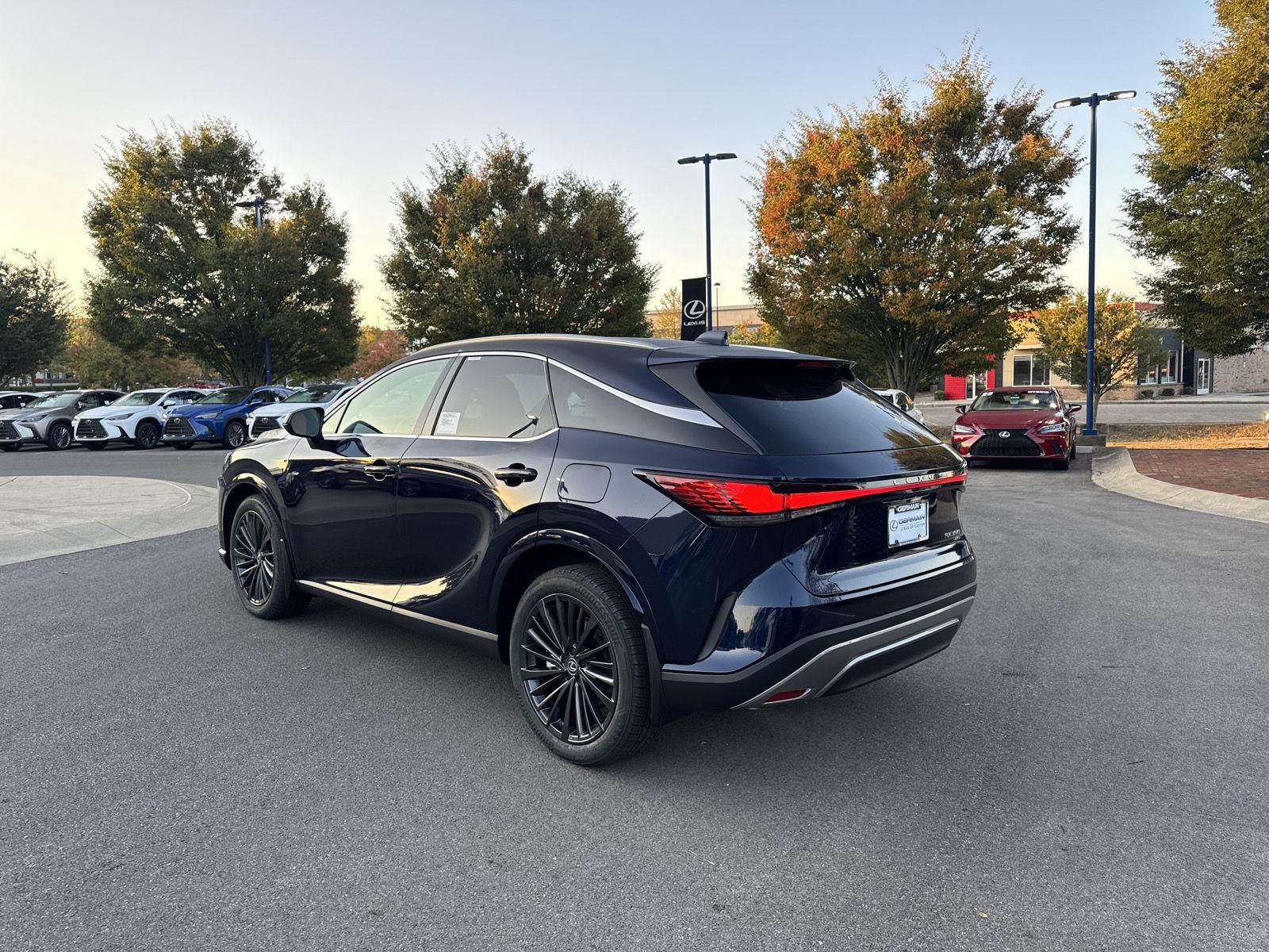 2025 Lexus RX Premium AWD photo 7