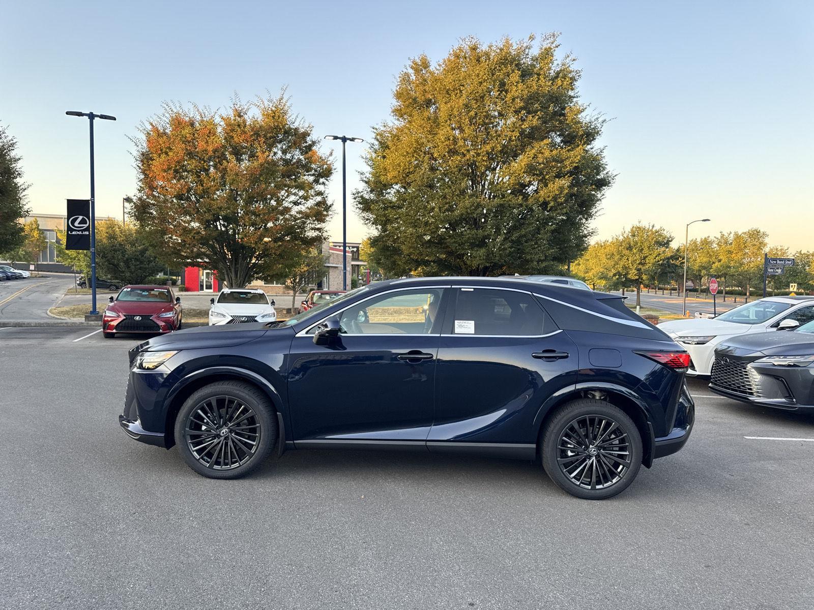 2025 Lexus RX Premium AWD photo 8